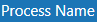 ProcessName.png